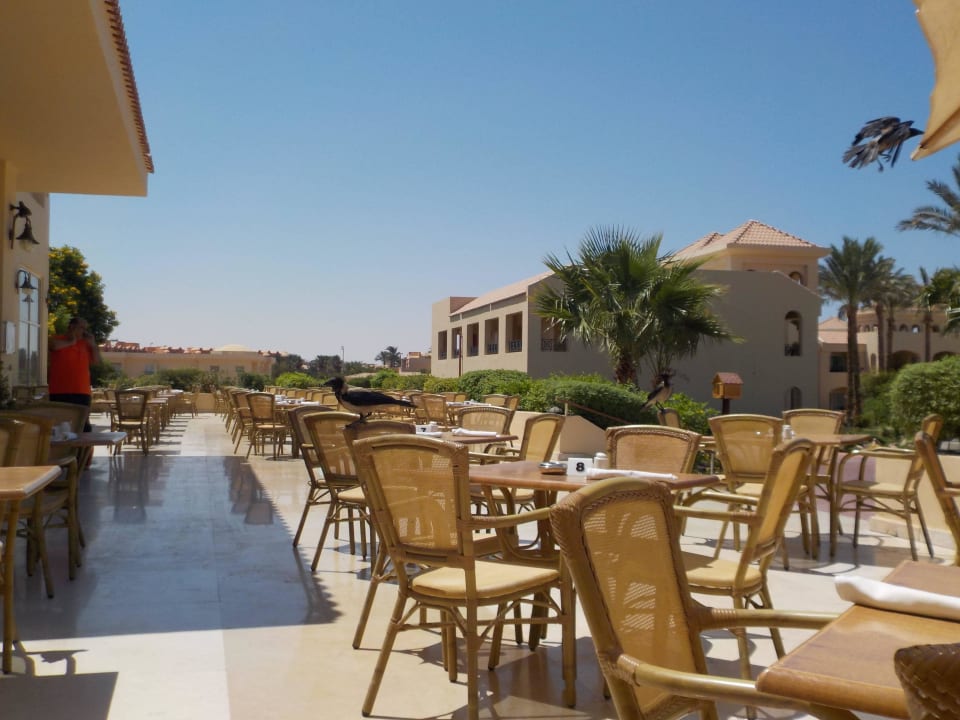 Außenterrasse Hauptrestaurant Cleopatra Luxury Resort Makadi Bay