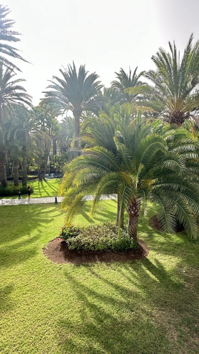 Außenansicht Hotel Riu Palace Oasis