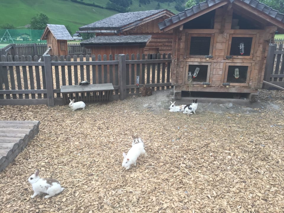 Hasenstall Familien Natur Resort Moar Gut