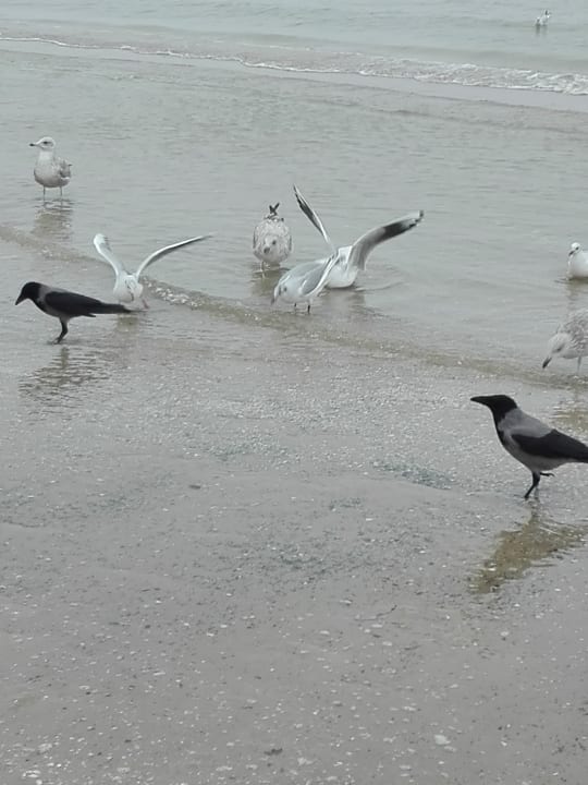 Strand Inselhof Vineta