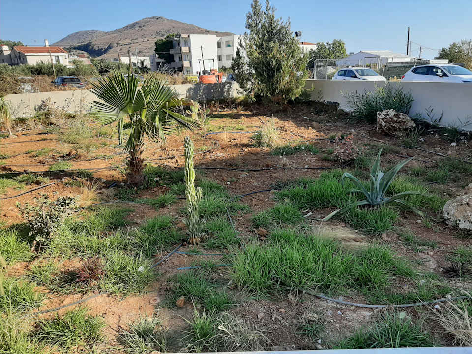 Gartenanlage Mare Village Hotel