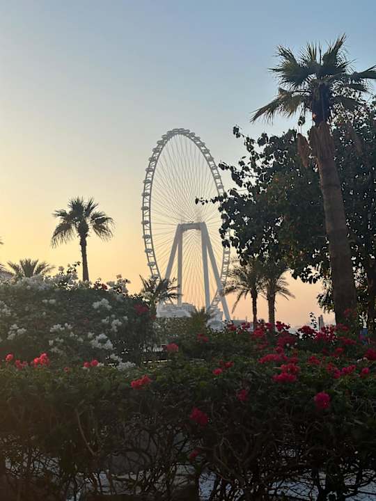 Pool Sheraton Jumeirah Beach Resort