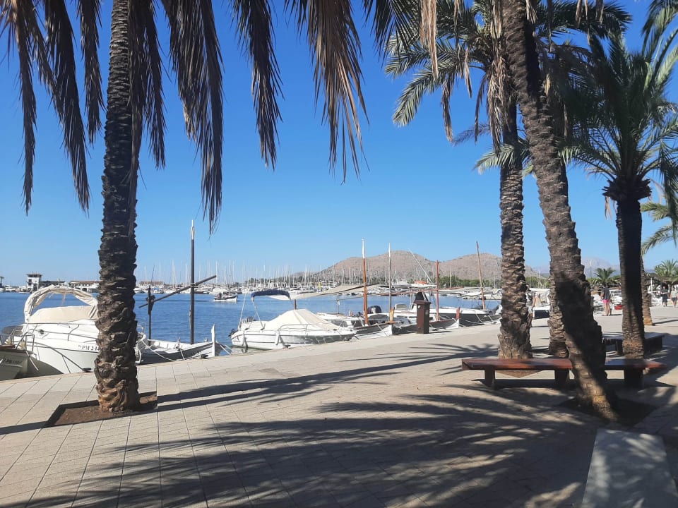 Strand Alcudia Garden Aparthotel