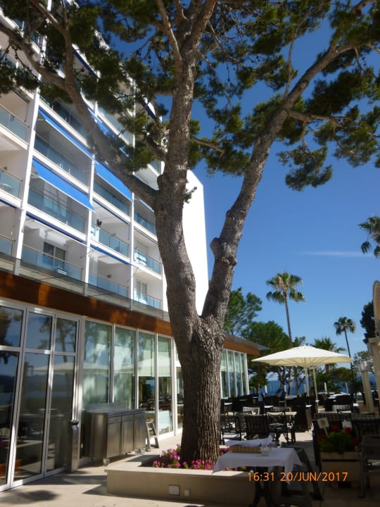 Restaurant Hipotels Eurotel Punta Rotja Golf & Spa