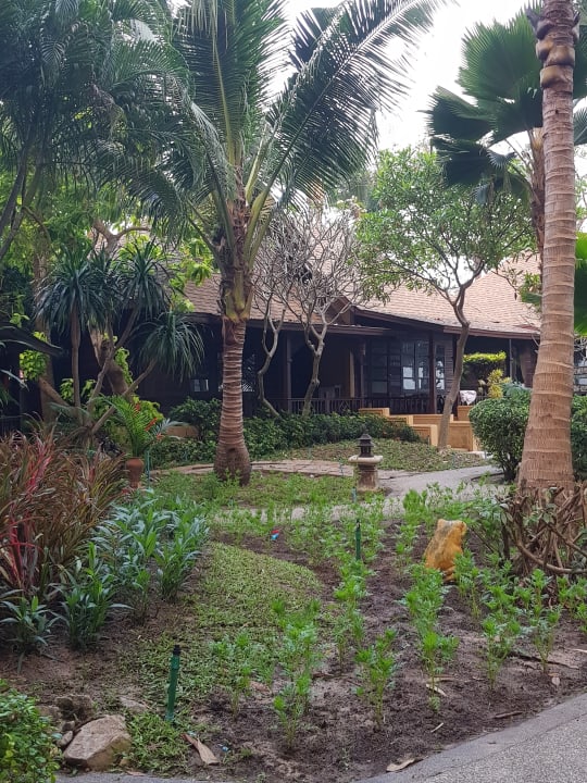 Einer der Bungalows The Fair House Beach Resort