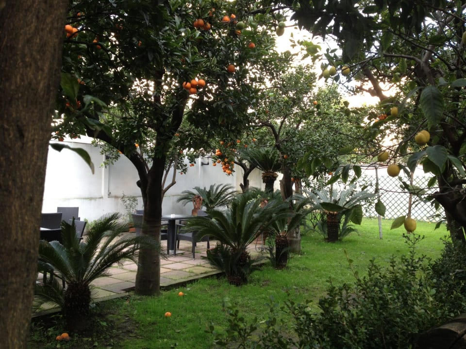 Terrasse Hotel Diana Pompei