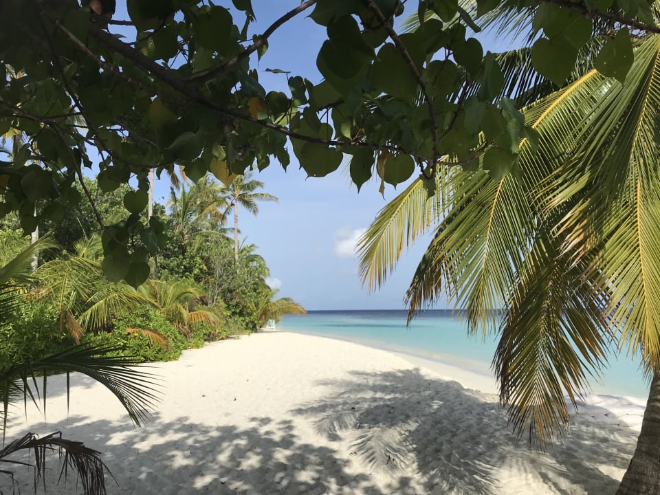 Außenansicht Safari Island Maldives