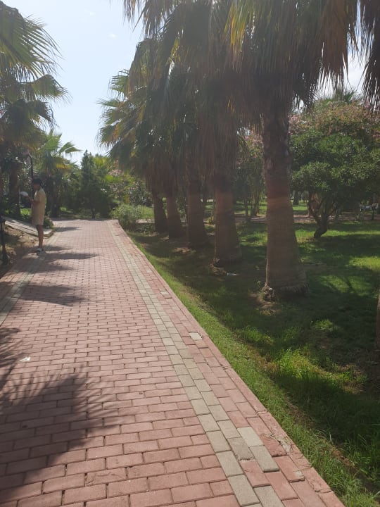 Gartenanlage Seaden Sea World Resort & Spa