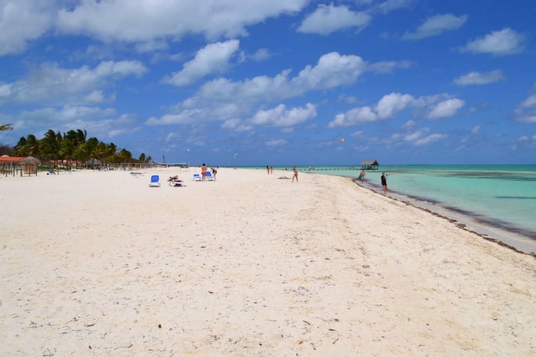 Duża, szeroka Starfish Cayo Guillermo