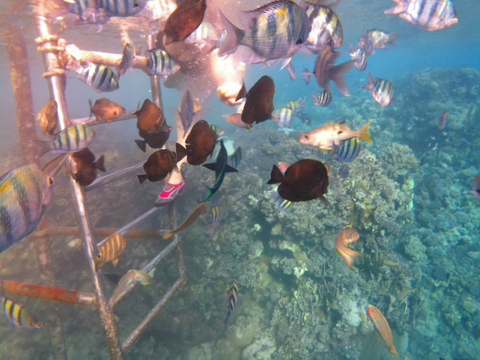 Strand Casa Mare Resort