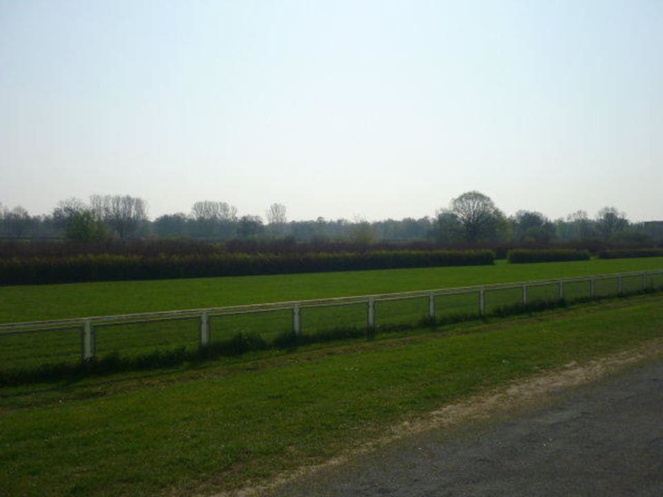 Ausblick NH Hamburg Horner Rennbahn