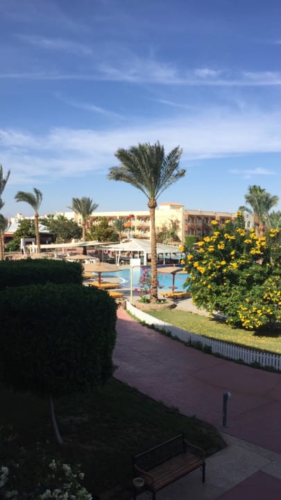 Ausblick Desert Rose