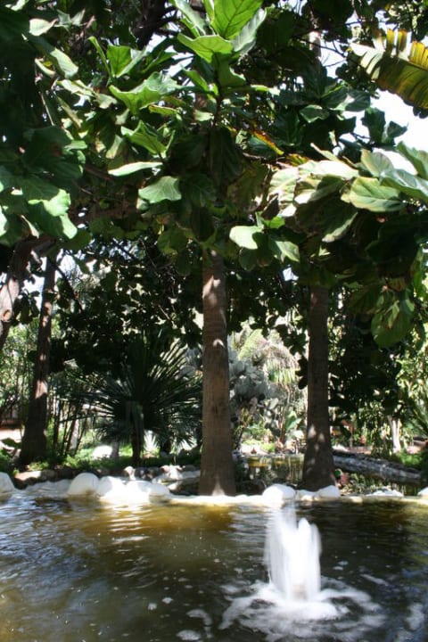 Bachlauf im Garten Hotel Parque Tropical