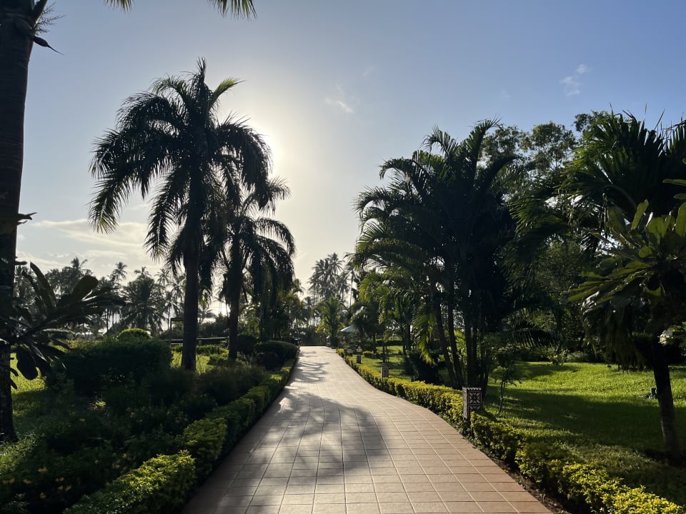 Gartenanlage TUI Blue Bahari Zanzibar