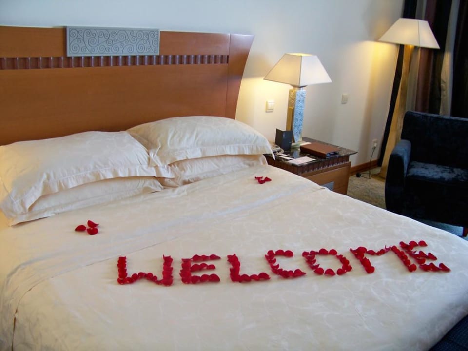 Das Bett Hotel Le Meridien Al Aqah Beach Resort