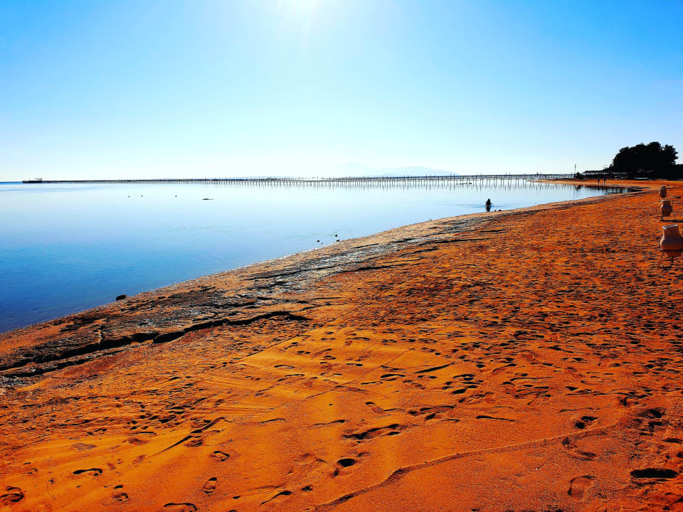 Strand Pickalbatros Royal Moderna Resort-Sharm El Sheikh
