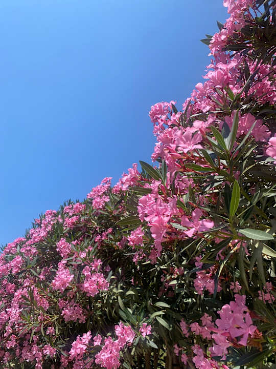 Außenansicht Aquasis De Luxe Resort & Spa