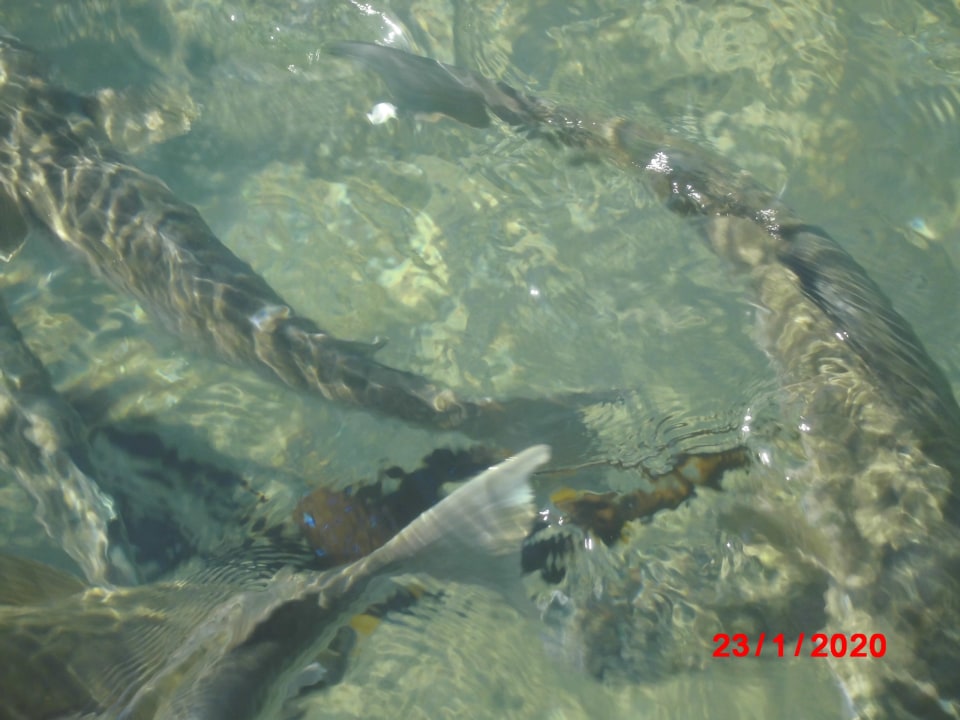 Strand Pickalbatros Dana Beach Resort - Hurghada