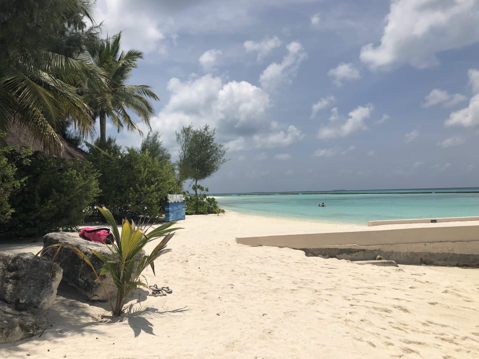 Strand Summer Island Maldives