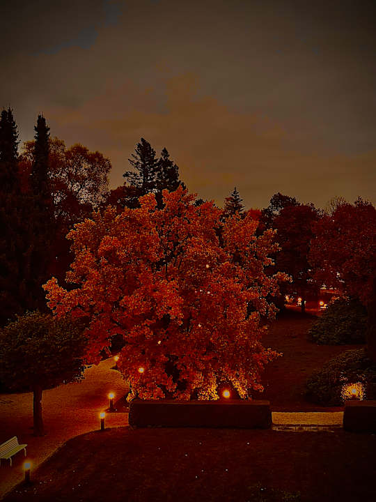 Zimmer Santé Royale Bad Brambach