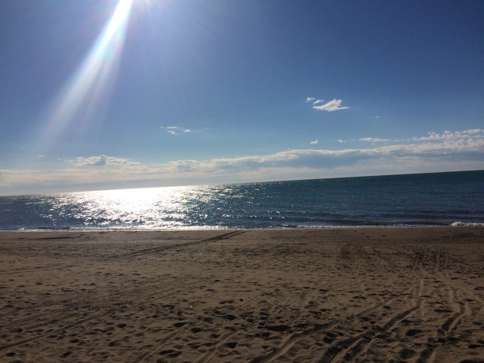 Sauberer Strand, Hoteleigen Ela Excellence Resort Belek