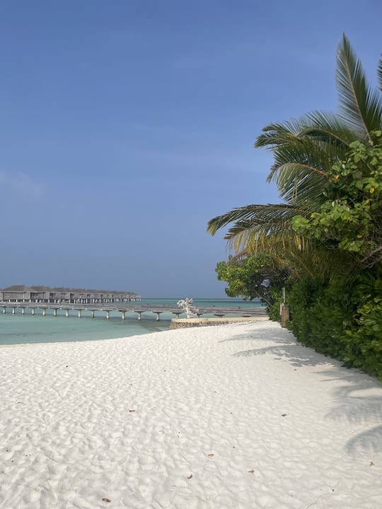 Strand Constance Moofushi Maldives