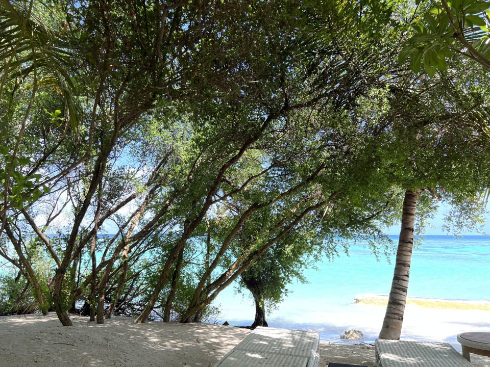 Strand Kuredhivaru Resort and Spa, Maldives