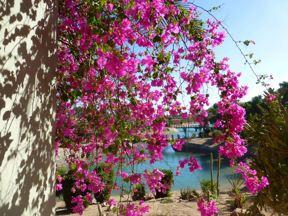Anlage Sheraton Miramar Resort El Gouna