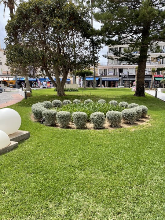 Gartenanlage CM Playa del Moro