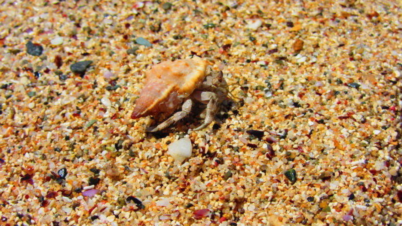 Krabik Coral Hills Resorts & SPA