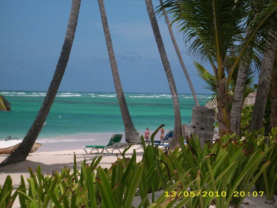 Strandansicht Grand Palladium Punta Cana Resort & Spa