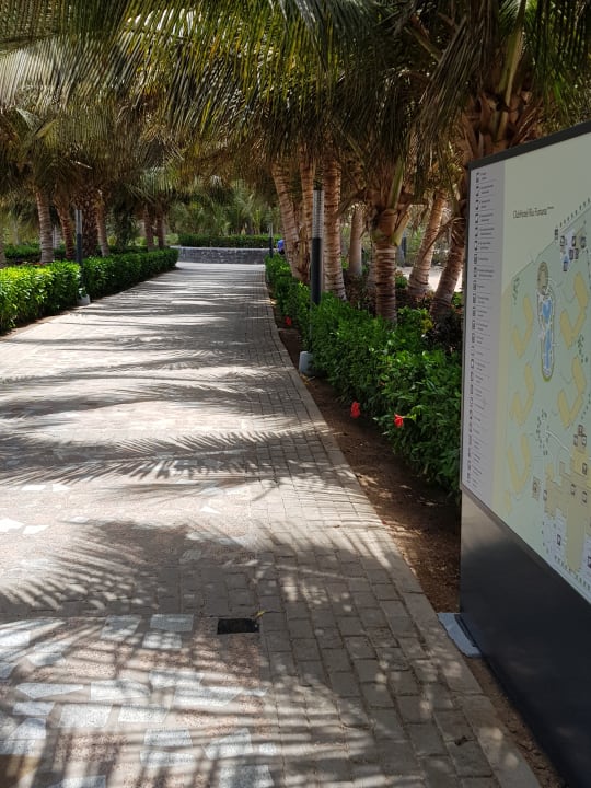 Gartenanlage Hotel Riu Cabo Verde