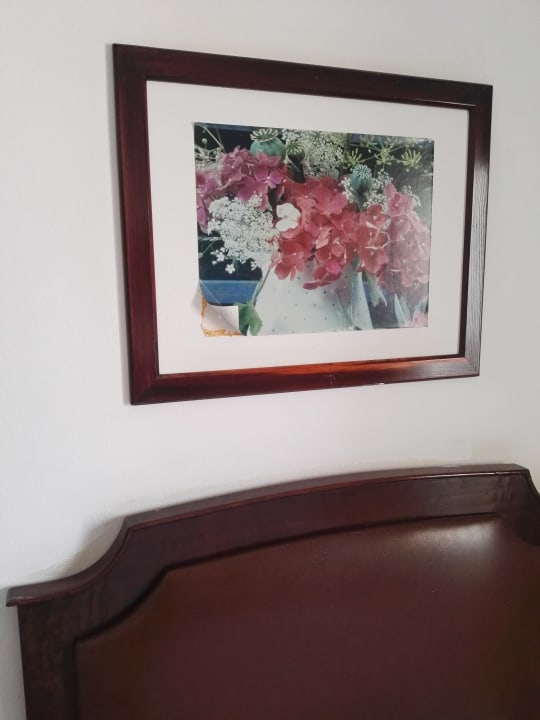 Zimmer Marlin Inn Azur Resort