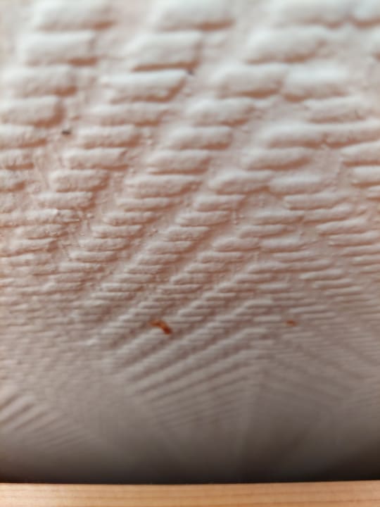 Zimmer Hotel Schloss Herrenstein