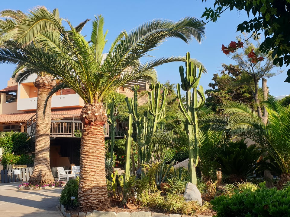 Gartenanlage Anissa Beach & Village