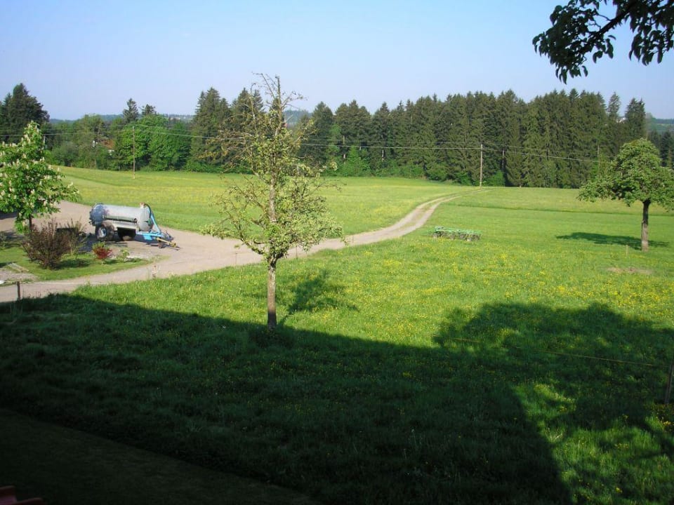 Balkon Hotel Krone Fesslers