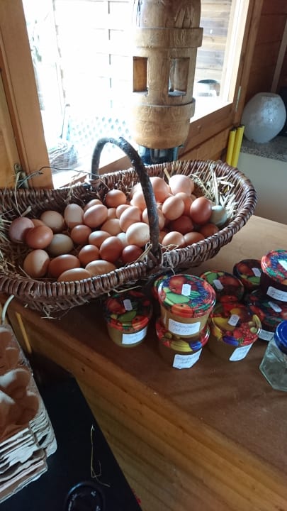 Sonstiges Ferien- und Erlebnishof Janssen