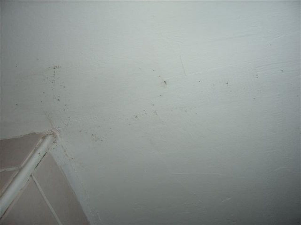 Schimmel Botanik Hotel & Resort