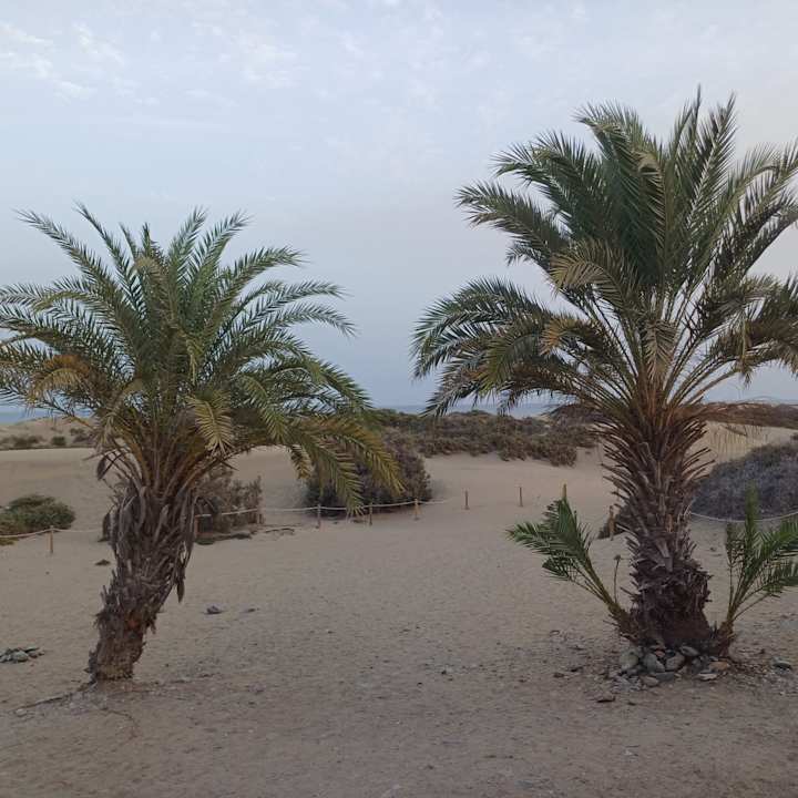 Strand Hotel Gold by Marina