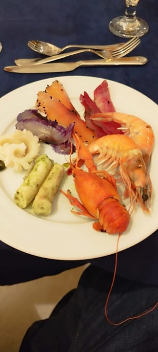 Gastro Acanthus Cennet Barut Collection