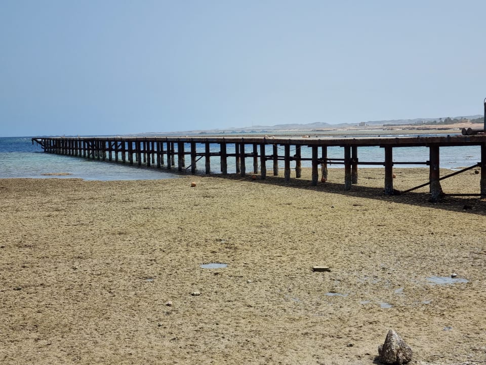 Strand Pickalbatros Palace Hotel-Port Ghalib