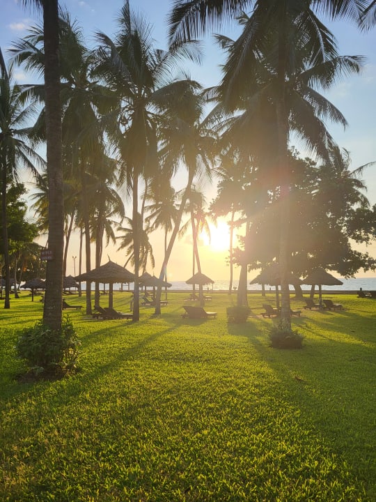 Gartenanlage Neptune Village Beach Resort & Spa