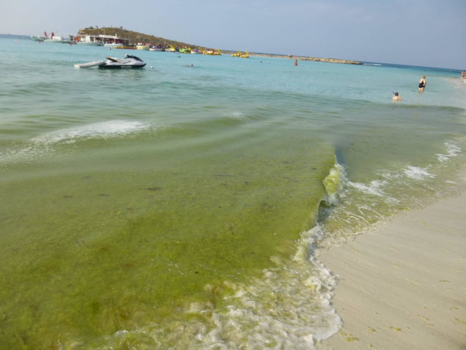 Nachmittags gabs leider Algen Hara Nissi Beach