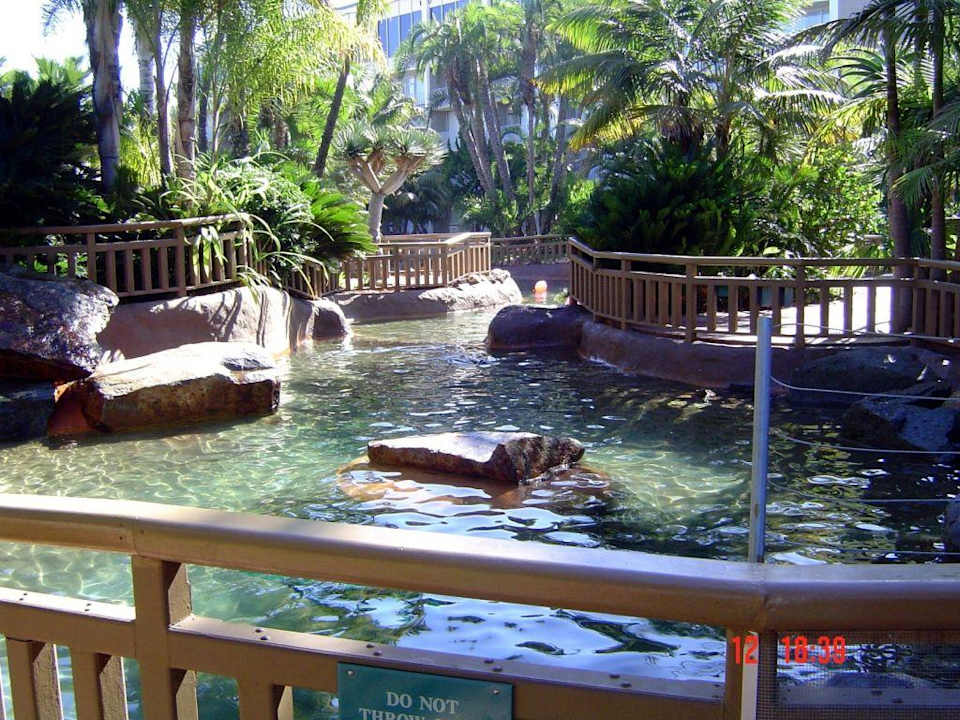 Seehundanlage Bahia Resort Hotel