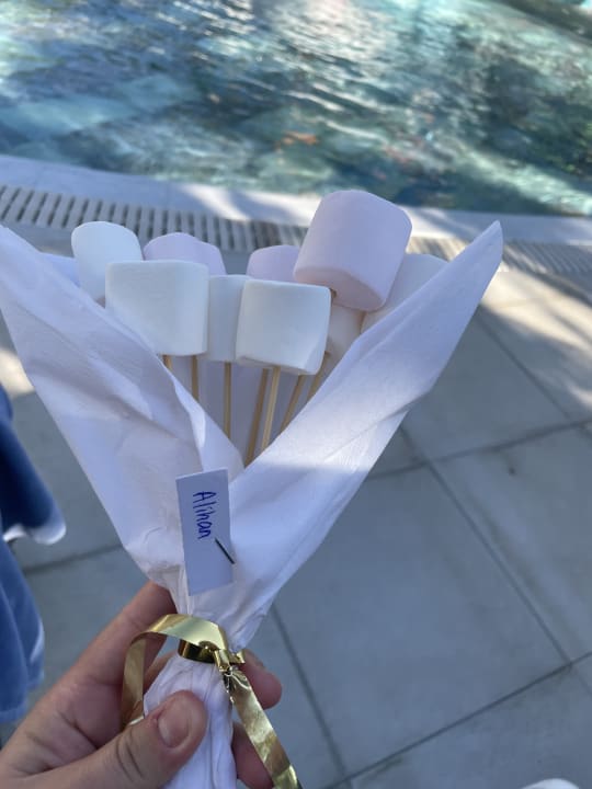 Sonstiges Arycanda Kirman Premium