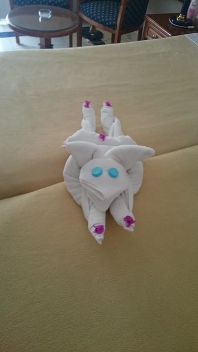 Zimmerdekoration Desert Rose