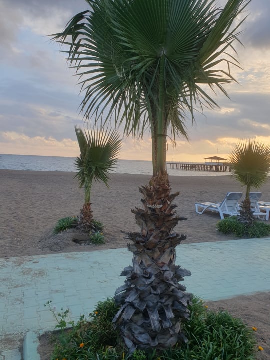 Strand Hotel Delphin Imperial