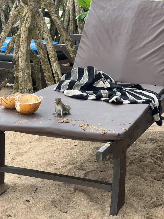 Strand Pandanus Beach Resort & Spa