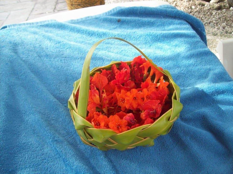 Kleines. Kunstwerk handgemacht Hotel Cayo Largo del Sol
