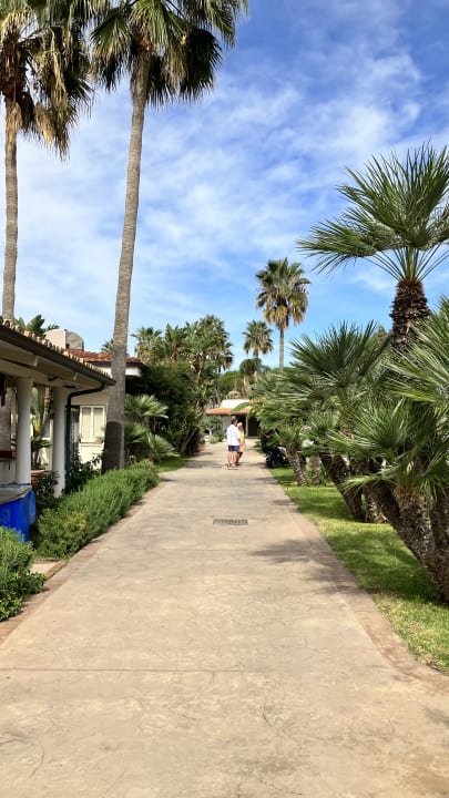 Gartenanlage Hotel Villaggio Il Gabbiano